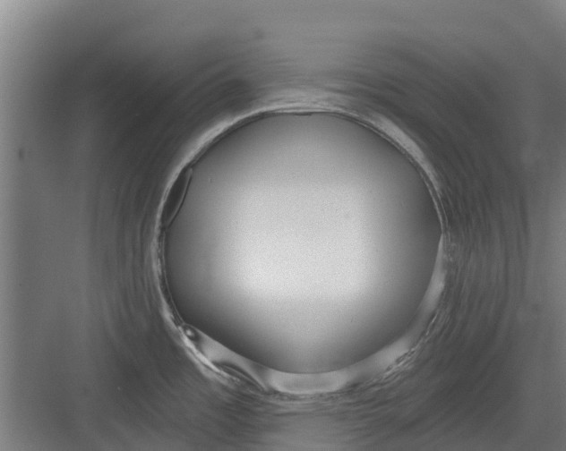 X0000082681485200702161645