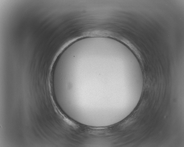 X0000082681486200702161645