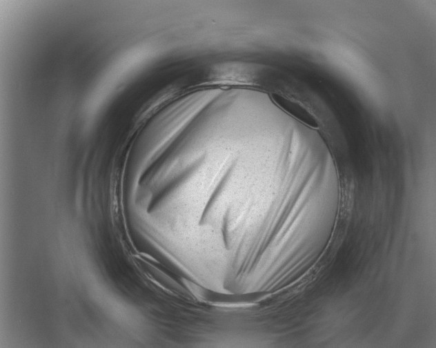 X0000082681487200702161645