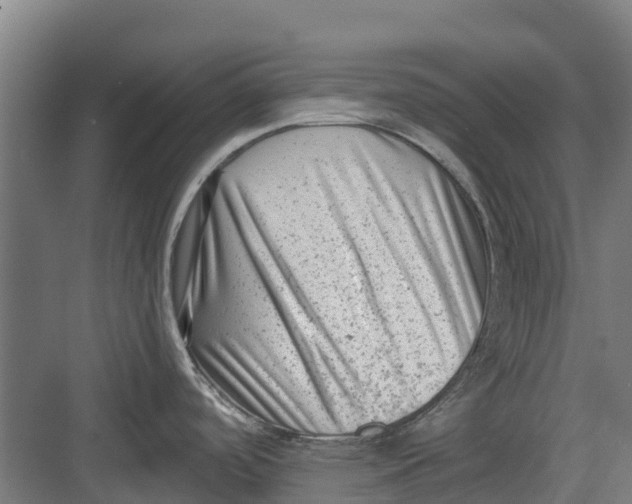 X0000082681488200702161645