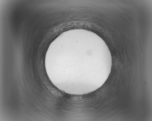 X0000082681489200702161644