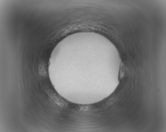 X0000082681490200702161644