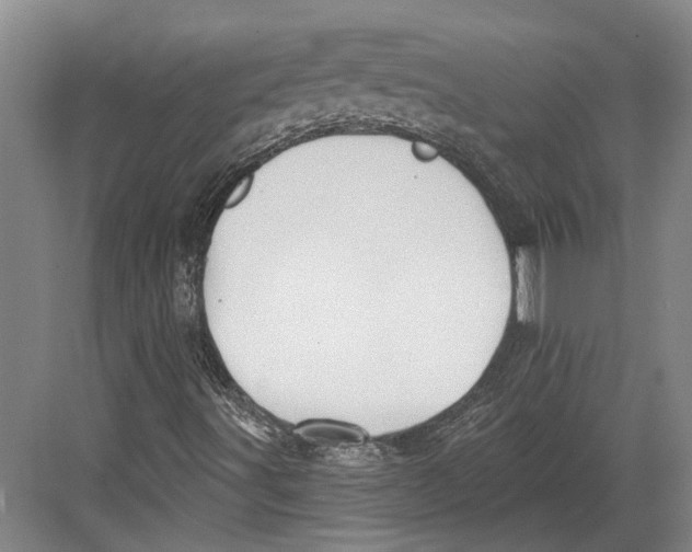 X0000082681491200702161644