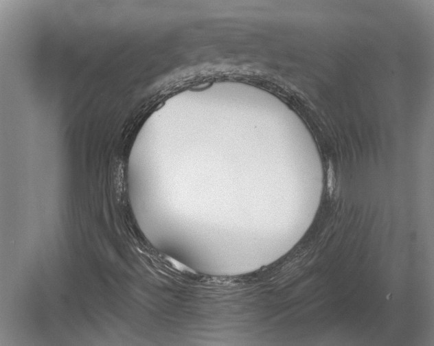 X0000082681492200702161644