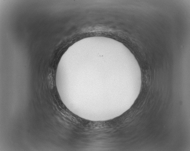 X0000082681493200702161644