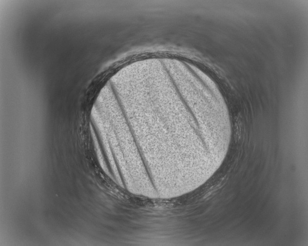 X0000082681494200702161644