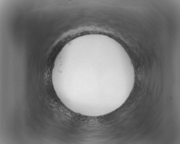 X0000082681495200702161644