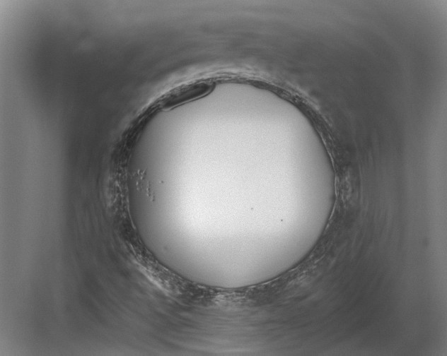 X0000082681496200702161644