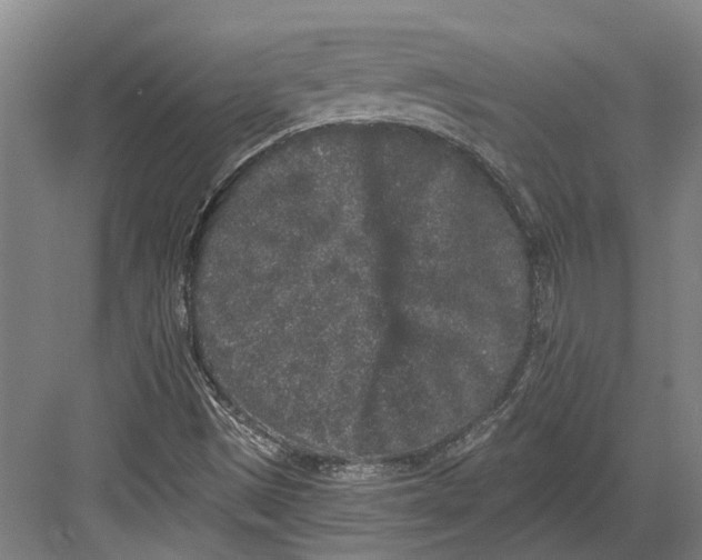 X0000082681497200702161644