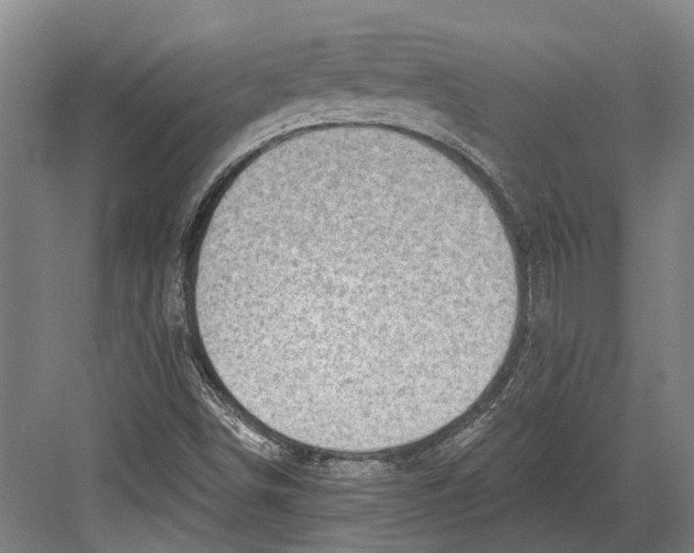 X0000082681498200702161644