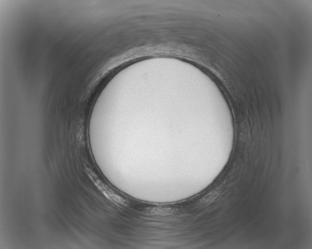 X0000082681499200702161644