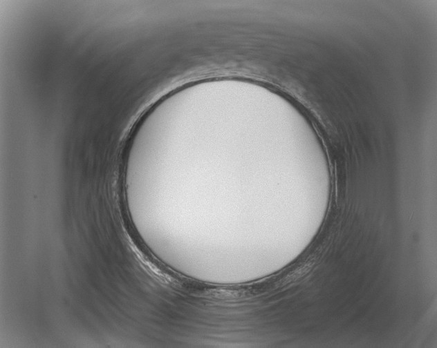 X0000082681500200702161644