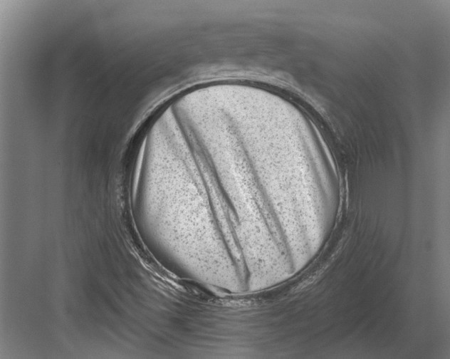 X0000082681501200702161644