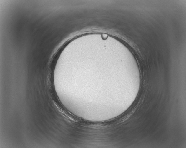 X0000082681502200702161644