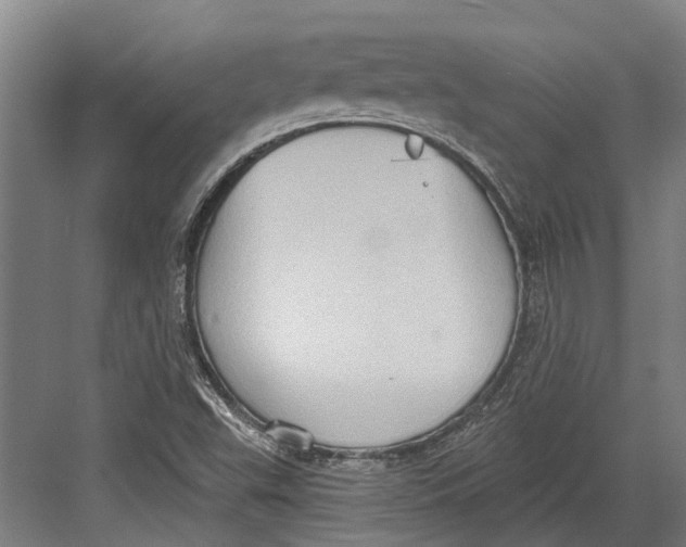 X0000082681503200702161644