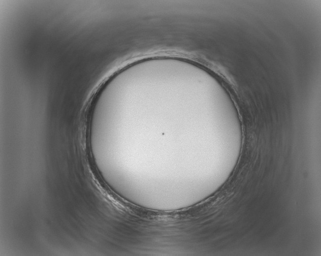 X0000082681504200702161645