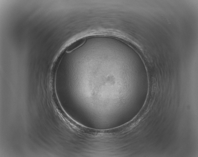 X0000082681506200702161645