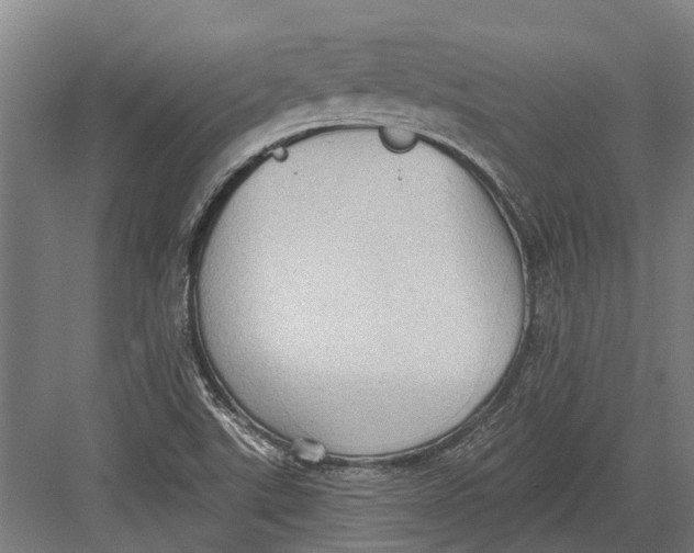 X0000082681507200702161645