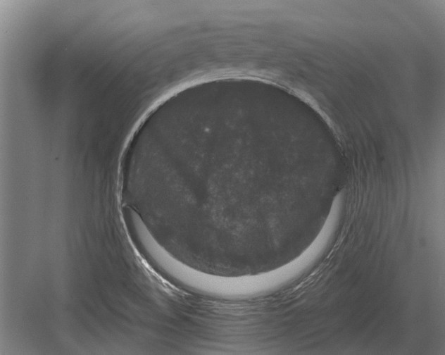 X0000082681508200702161645