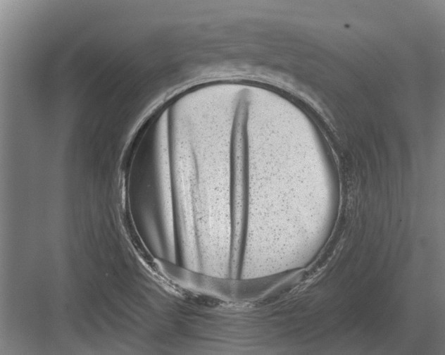 X0000082681509200702161645