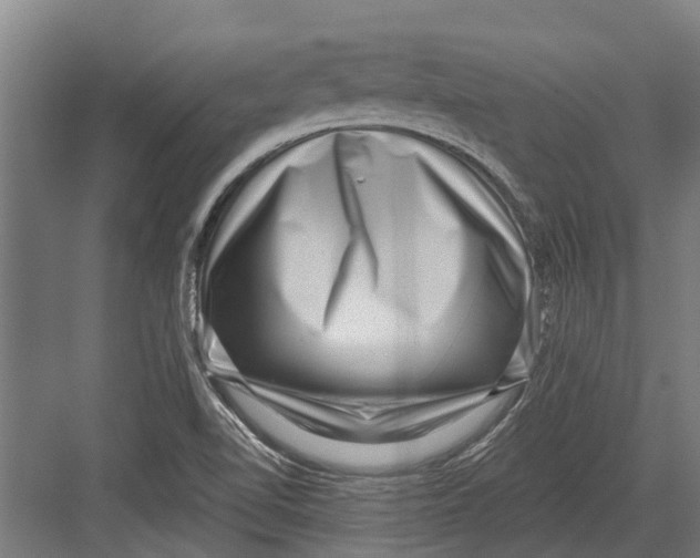 X0000082681510200702161645