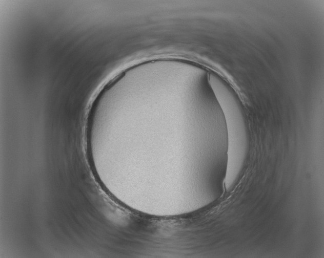 X0000082681512200702161645