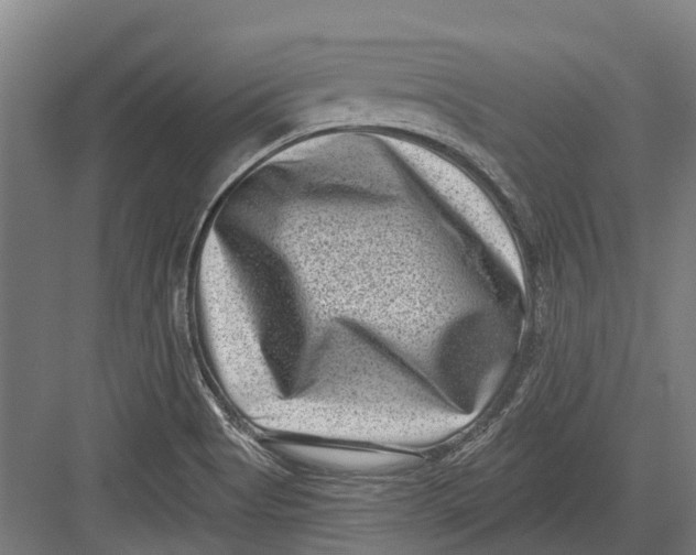 X0000082681513200702161645