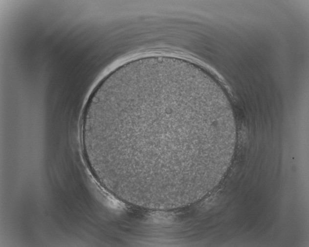 X0000082681514200702161645