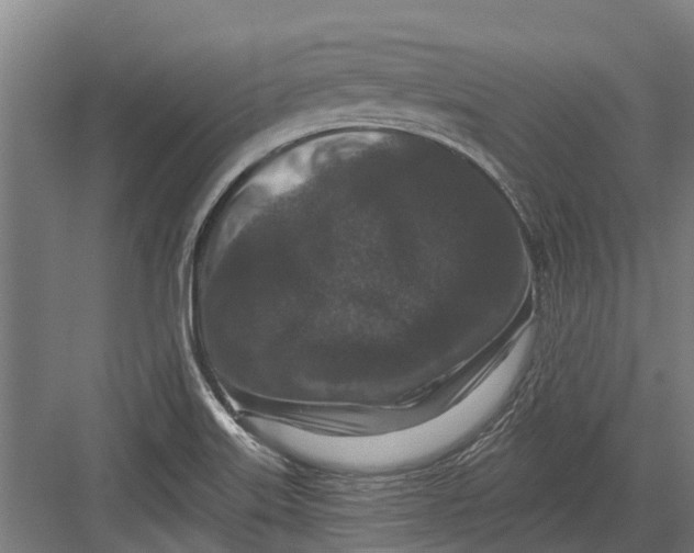 X0000082681515200702161645