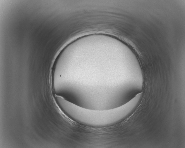 X0000082681516200702161645