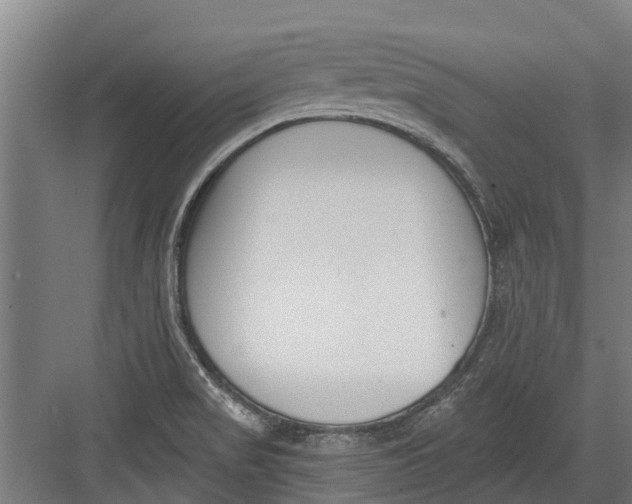 X0000082681517200702161645