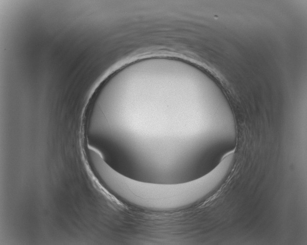 X0000082681518200702161645