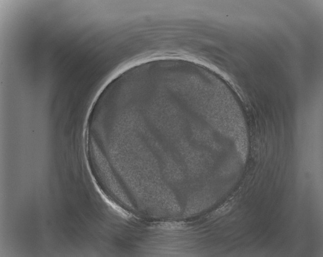 X0000082681519200702161645