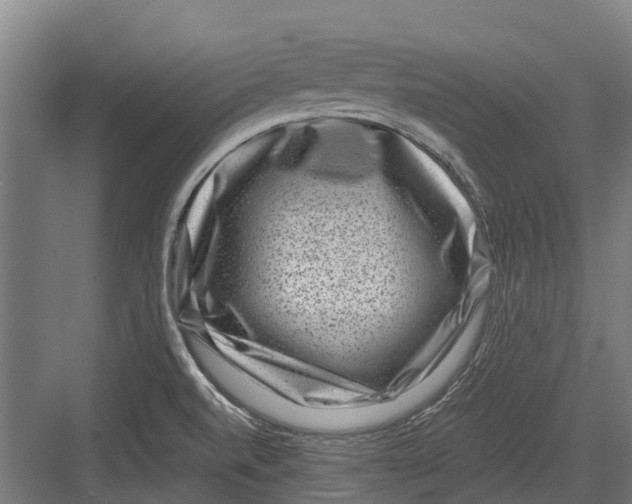 X0000082681520200702161645