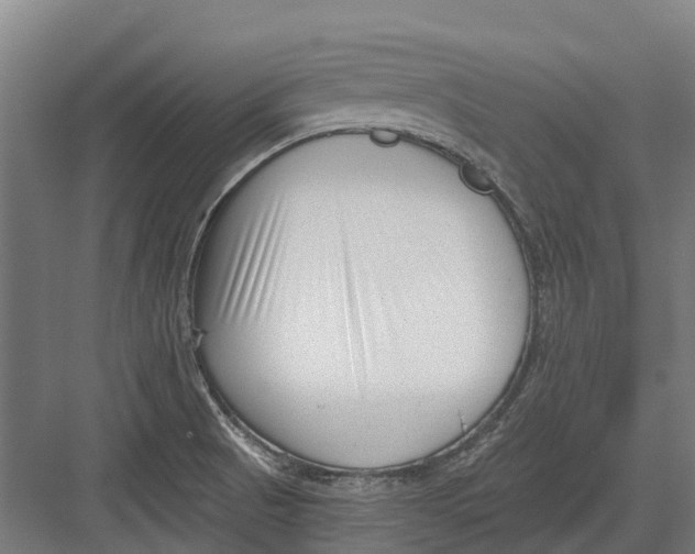 X0000082681521200702161645