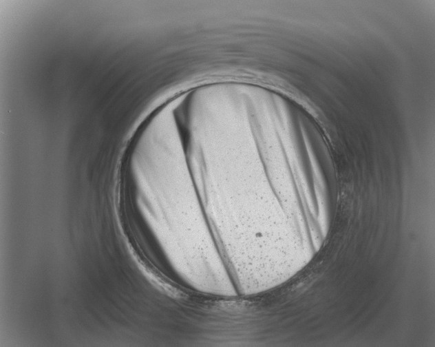 X0000082681523200702161645