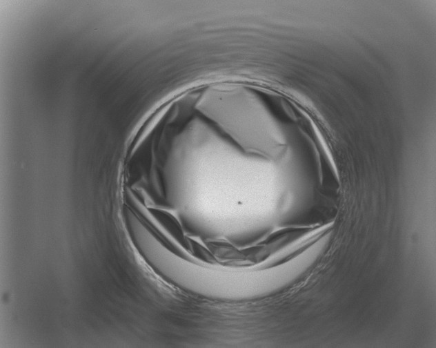 X0000082681524200702161645