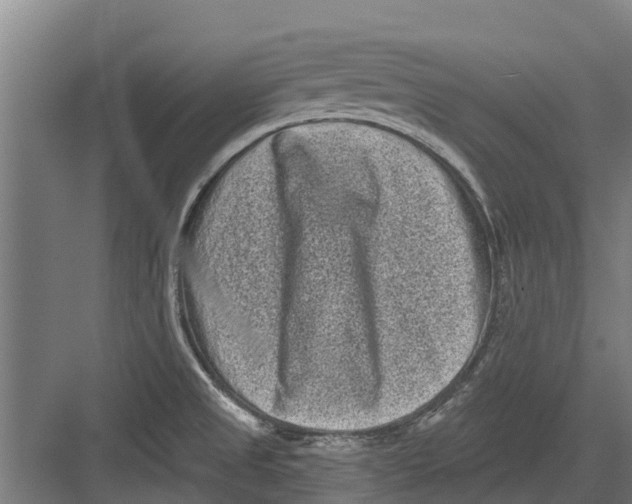 X0000082681525200702161645