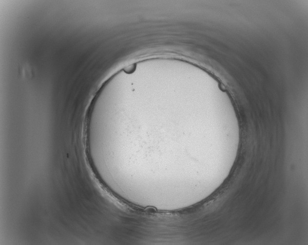 X0000082681526200702161645