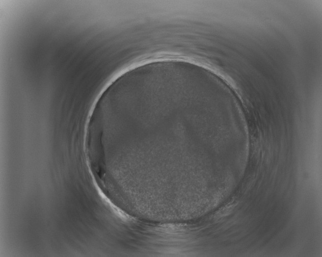 X0000082681527200702161645