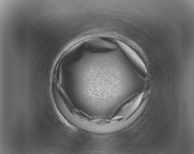 X0000082681528200702161645