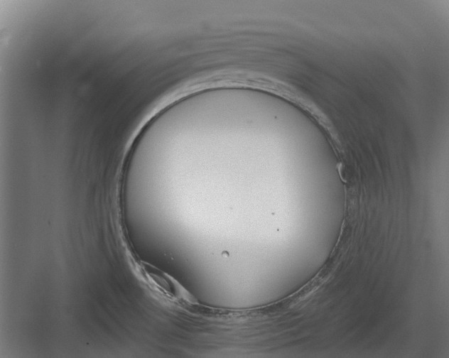 X0000082681530200702161645