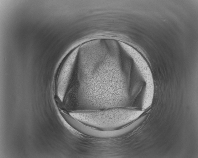 X0000082681531200702161645