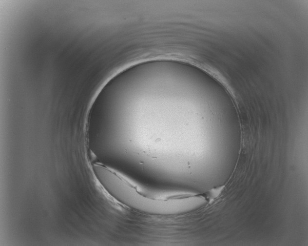 X0000082681532200702161645