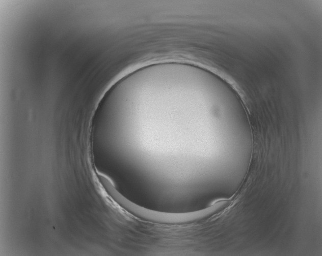 X0000082681534200702161645