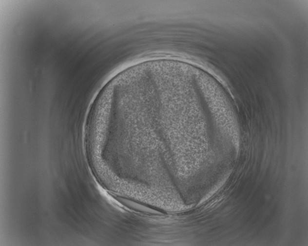 X0000082681535200702161645