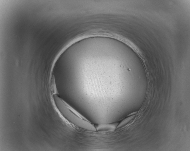 X0000082681536200702161645