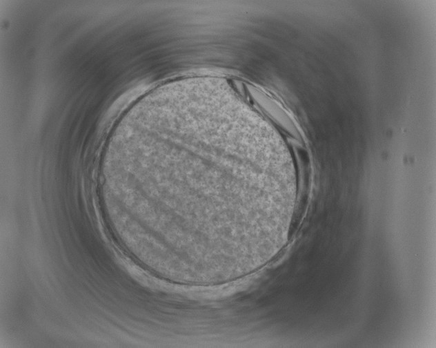 X0000082680001200702232150