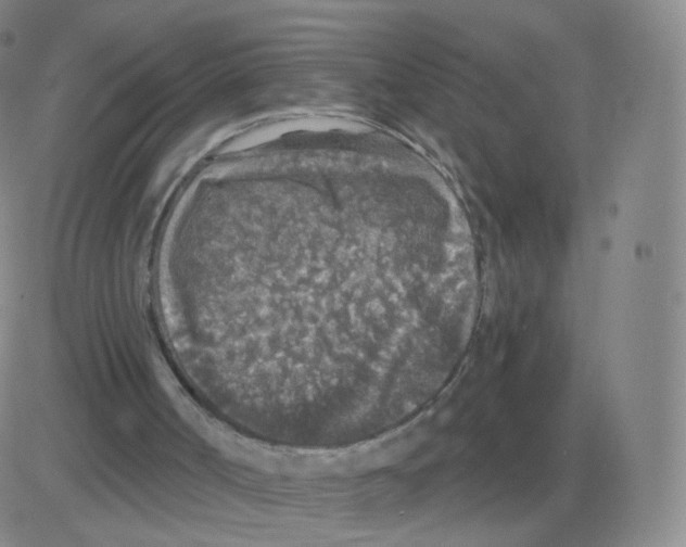 X0000082680002200702232150