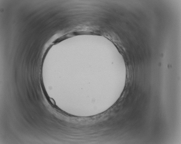 X0000082680003200702232150